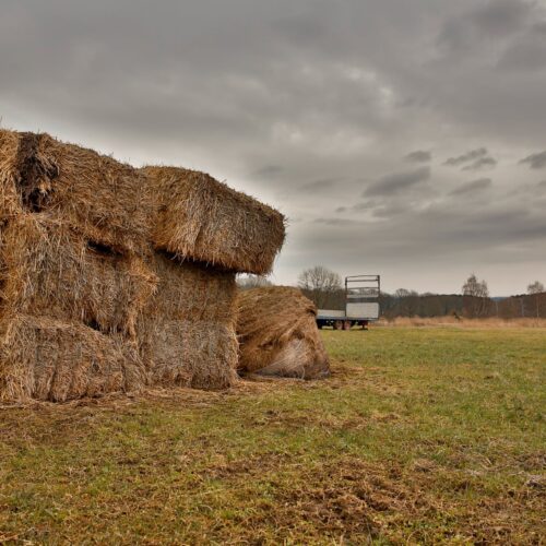 Arizona Conservationists: One Straw-Bale at a Time