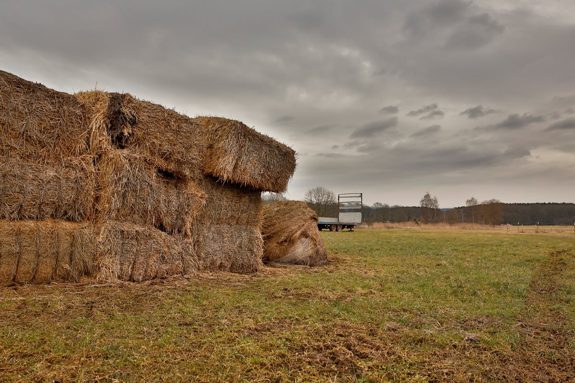 Arizona Conservationists: One Straw-Bale at a Time