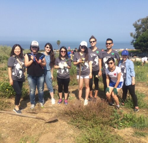 Gone With the Weeds: Greenheart Volunteer Project in Sunny California