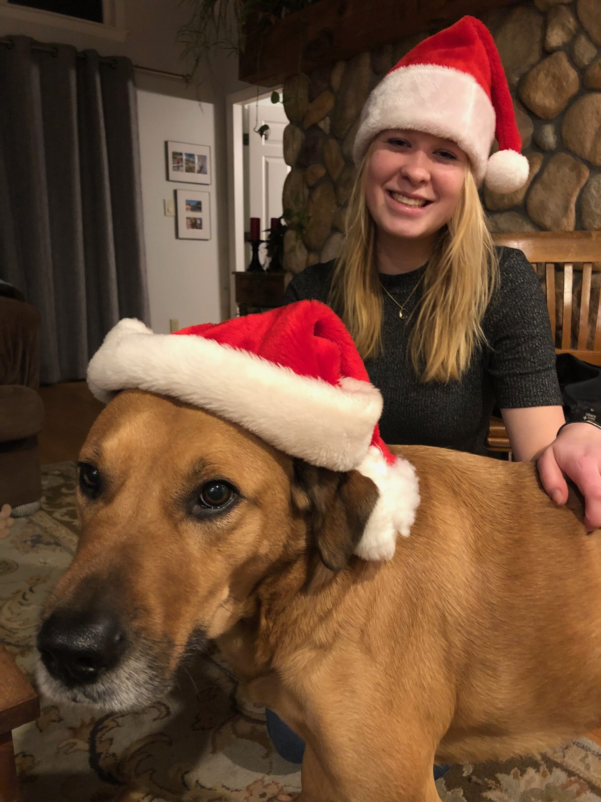 “Skipper the Party Dog” and Lessons in Hosting