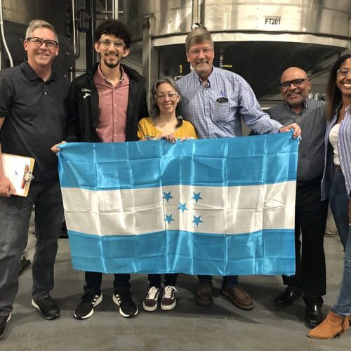 When Training Is the Goal, Communication Is the Key